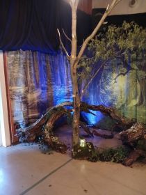 556899642_1388576823270120_656244947820445636_n