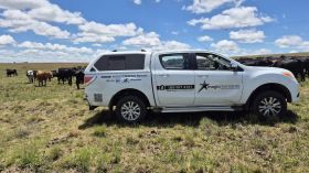 591829073_1446812557446546_5979664544700401795_n