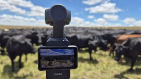 591881780_1446811744113294_1364356417188174902_n