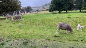 488904350_1229380979189706_3408092443689417153_n