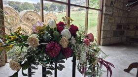 556580331_1390731499721319_76716402885341174_n