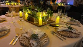 488592324_1229822982478839_1071701717719916244_n