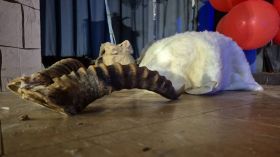 503899073_1283127073815096_6620659003955404197_n