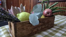 645966963_1528027369325064_5656318942320697069_n