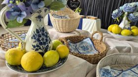 505005069_1284401580354312_7164992184396089928_n