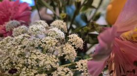 627211031_1503842528410215_6225877889014952134_n