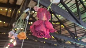 630231478_1503841891743612_7676135329733662963_n