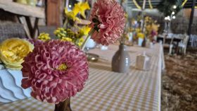 649183174_1530417765752691_6513614978130127558_n