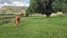 577978050_1425461029581699_6203029941017837239_n