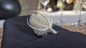 579363880_1425460049581797_4383199106789499481_n