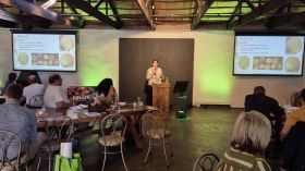 580687081_1428784682582667_2002030097302753733_n