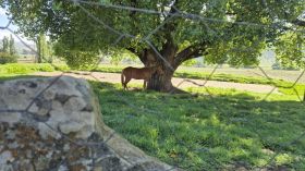 581710303_1428783945916074_609053914655664771_n