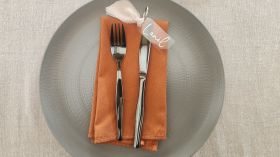 490885395_1237780825016388_5554174280503222647_n