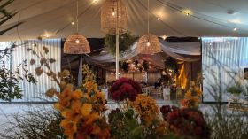 597381783_1455859843208484_9160226461402447072_n