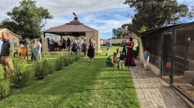 597385894_1455851443209324_6428369625959717140_n