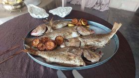 651698598_1537422988385502_8827454680362390134_n