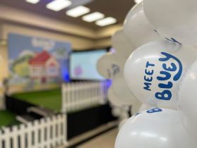 532982653_1345151480945988_8861584891692346635_n