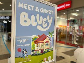 534290384_1345154937612309_5909450495143521215_n