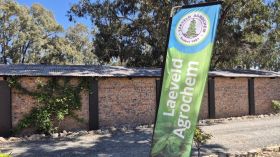 548203423_1373308054796997_2233624807751378443_n