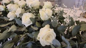 550843586_1377261554401647_3103180772646083704_n