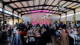 535821014_1351204870340649_4431527642657186376_n