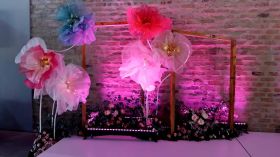 537942493_1351203693674100_1059126910120237504_n