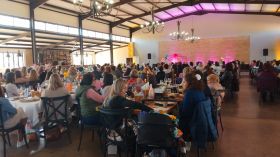 538336760_1351206690340467_620758485670801976_n