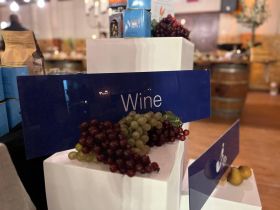 512698123_1300626072065196_8445409518967345998_n