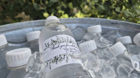 656223425_1547194060741728_3583831062609711889_n